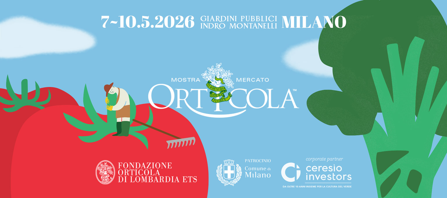 omm-2026-testata-1536x680-70